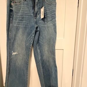 Women’s Judy Blue Straight Leg Jeans in Light Blue Wash size 14W